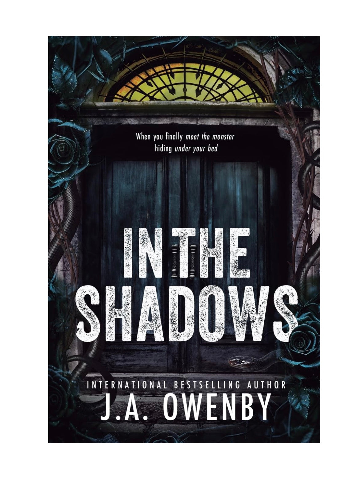 In the Shadows: A Dark Stalker Romance