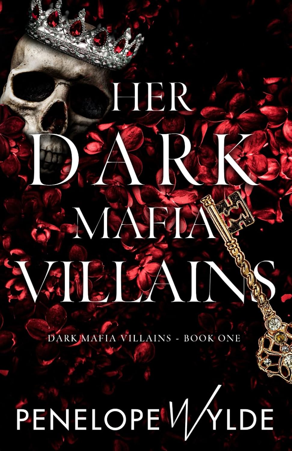 Her Dark Mafia Villians