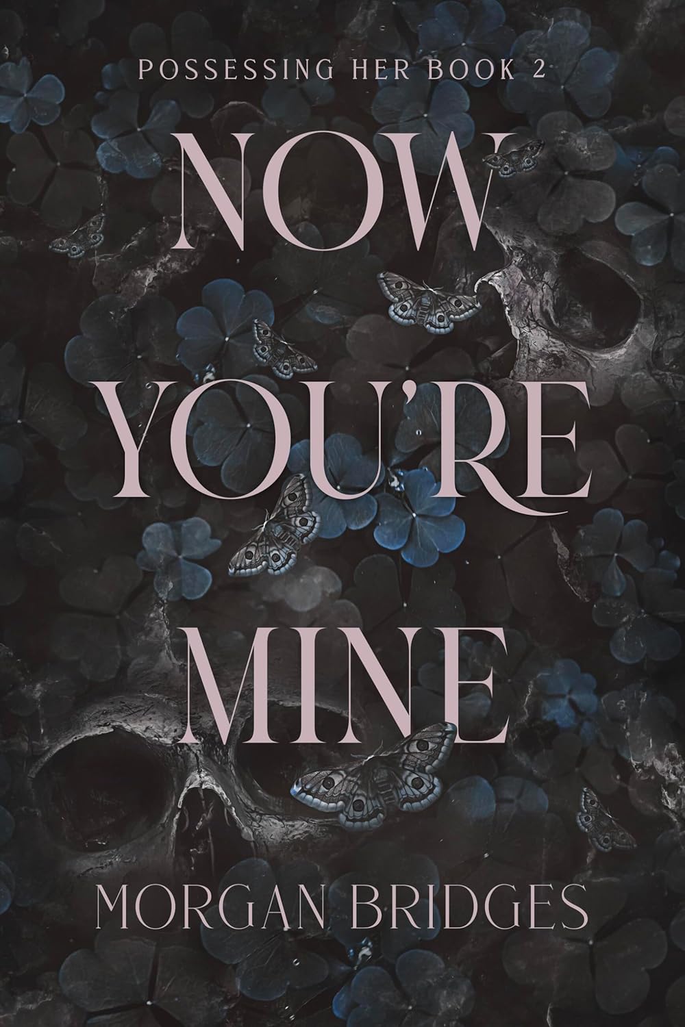 Now You are Mine ( Possessing Her #2)