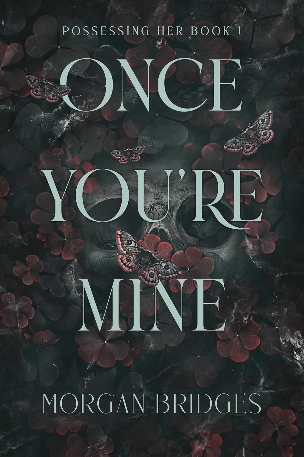 Once You're Mine (Possessing Her #1)