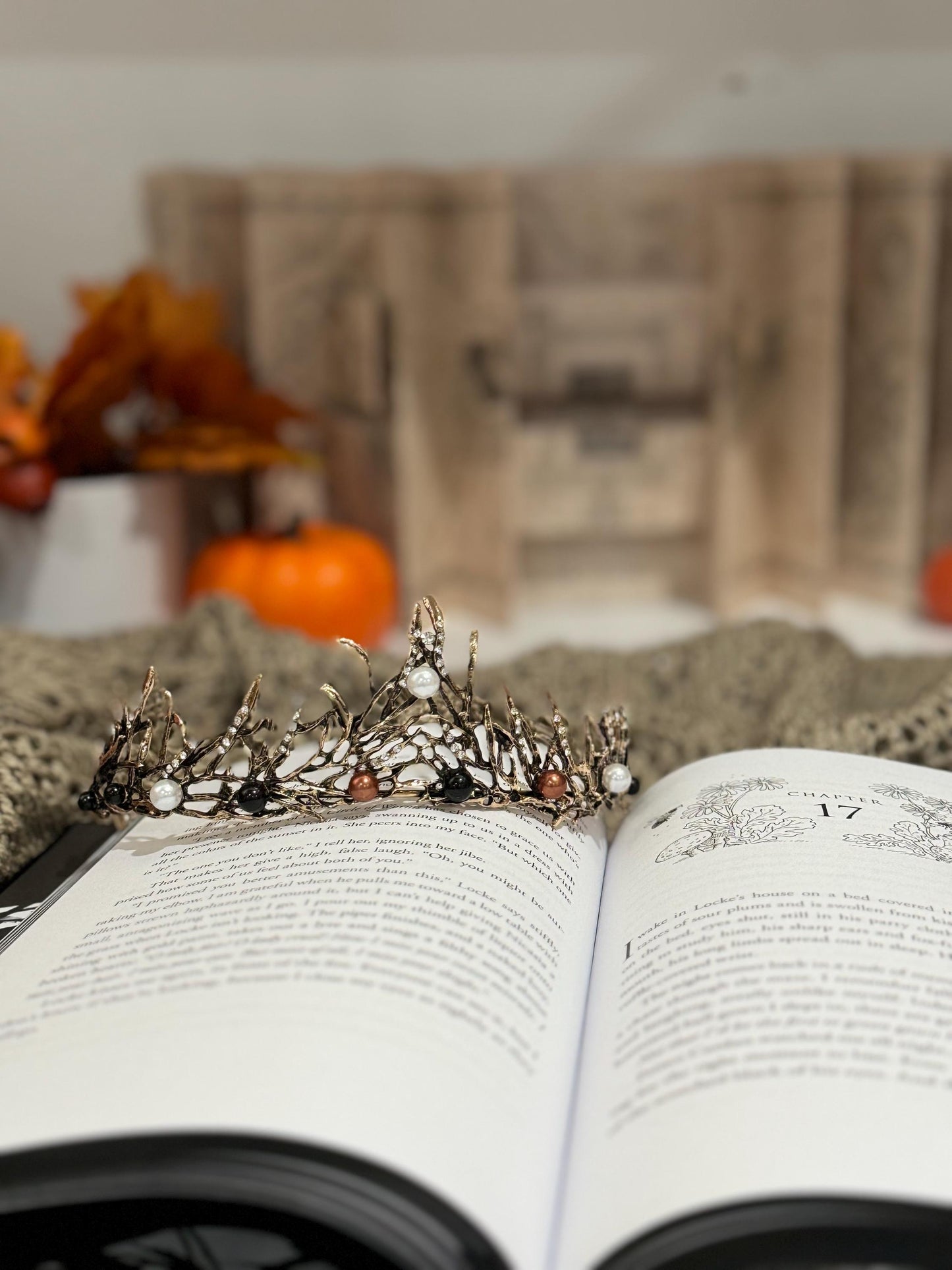 Folk of the Air - The Cruel Prince & The Wicked King Collector's Edition