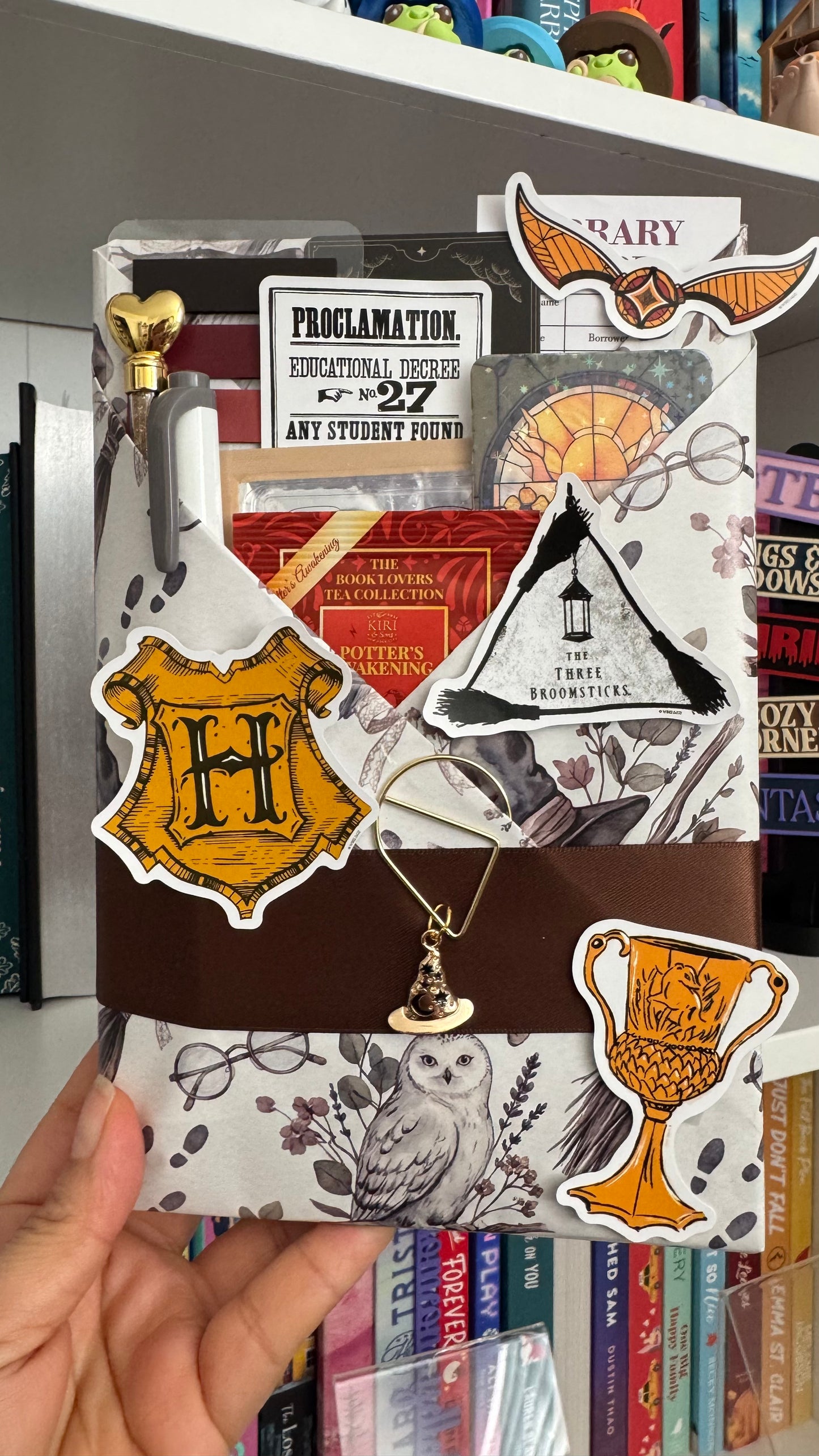 🎩 The Sorting Hat’s Pick — Harry Potter Book Only