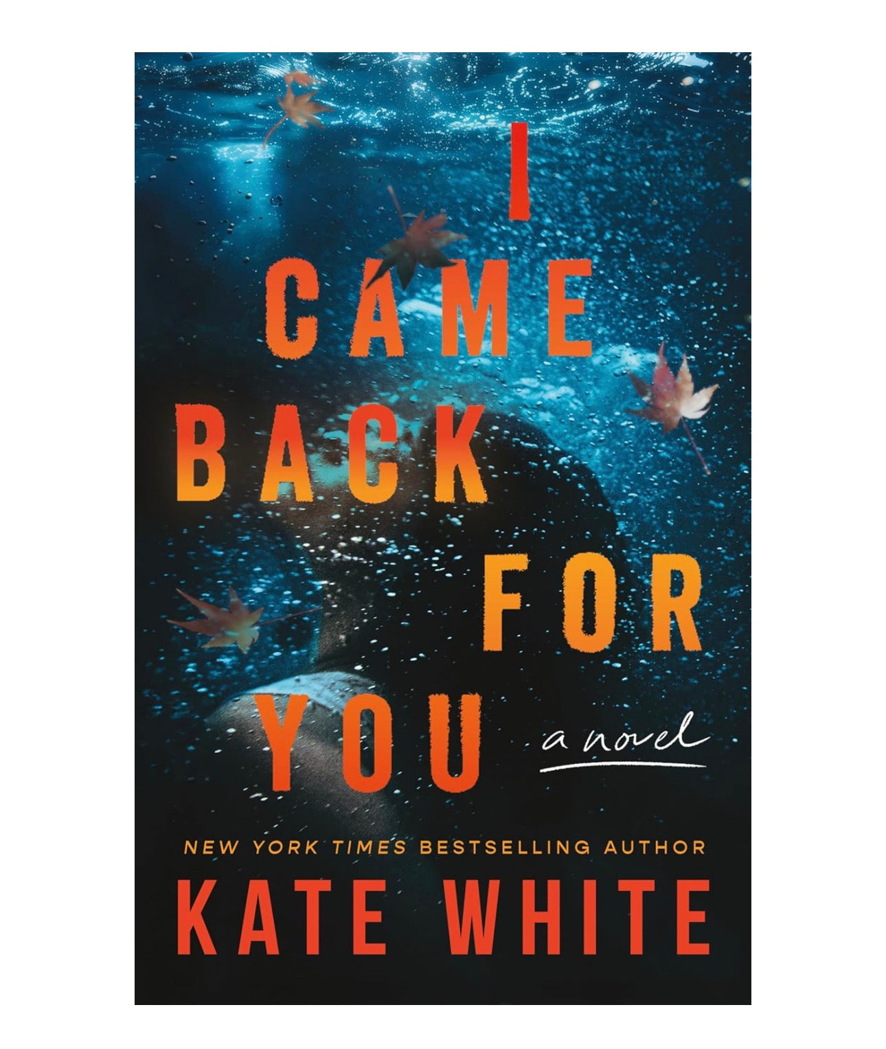I Came Back for You: A Novel